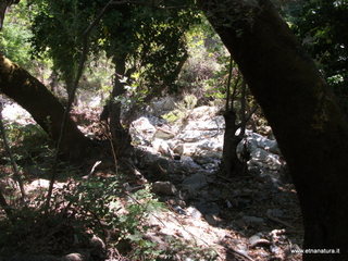 ldaia del Drago19-07-2015 11-39-53